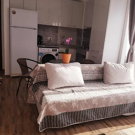 Andrei's Place 아파트