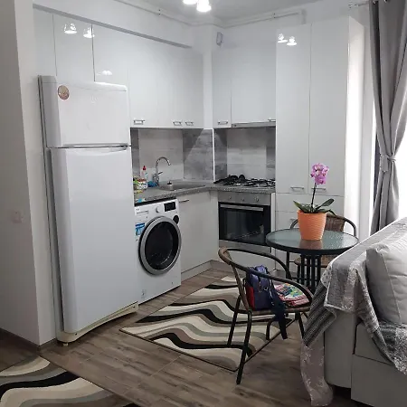 Andrei's Place 아파트 *