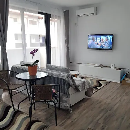 Andrei's Place 아파트
